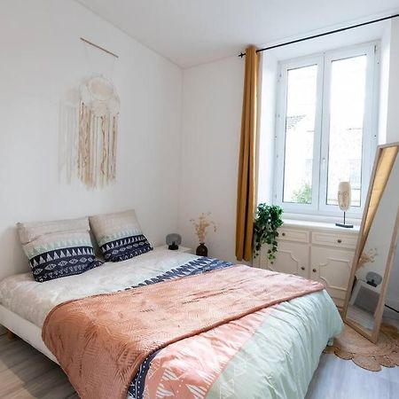 Appartement Entierement Renove Et Cosy Avec Jardin Мюлуз Экстерьер фото